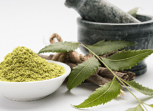 Neem Leaf Powder